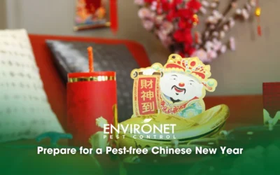 Prepare for a Pest-Free Chinese New Year