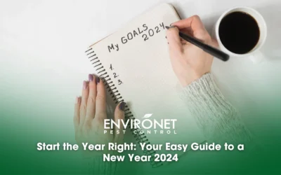 Start the Year Right: Your Easy Guide to a New Year 2024