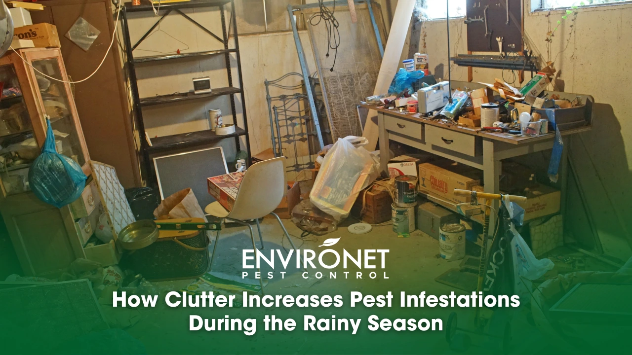 How Clutter Increases Pest Infestations During the Rainy Season Cluttered space illustrating how disorganization attracts pests and increases the risk of infestations