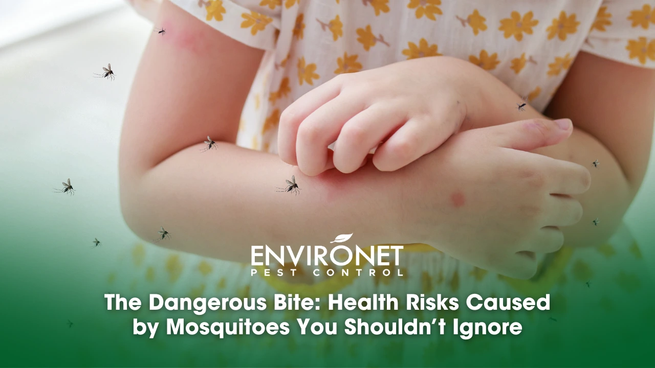 Visual representation of mosquito bites and associated health risks, urging attention to their potential dangers.  